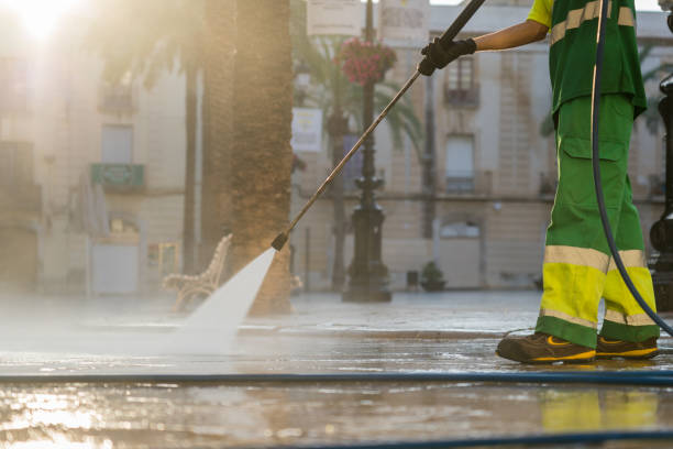 Best Pre-Holiday Cleaning  in Purvis, MS
